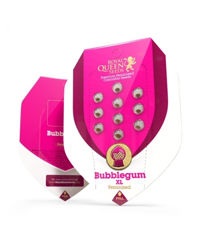 Bubblegum XL Feminised